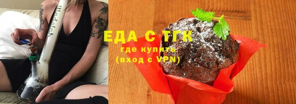 амф Ельня