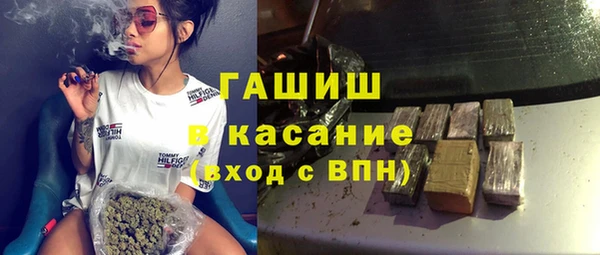 амф Ельня