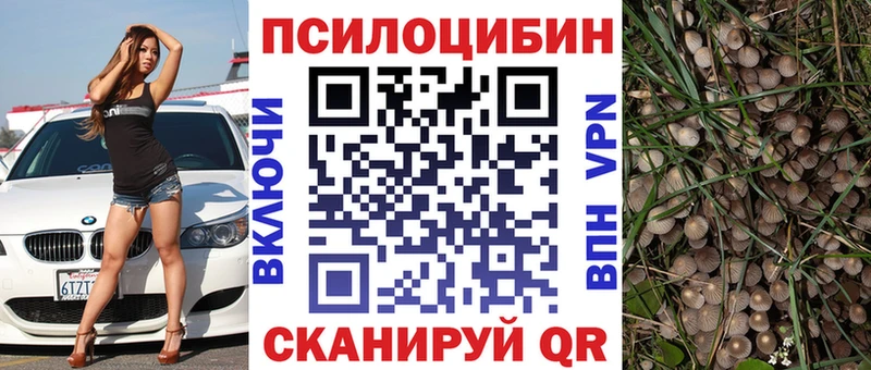 Псилоцибиновые грибы Magic Shrooms  купить наркотики сайты  Сковородино 